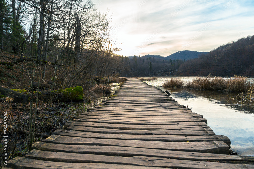 Obraz premium Road in the forest at autumn