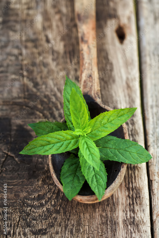 Fresh mint in spoon on rustic wooden background Fresh mint in spoon on rustic wooden background