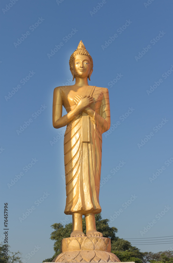 Golden Buddha standing and touching the chest Golden Buddha standing and touching the chest