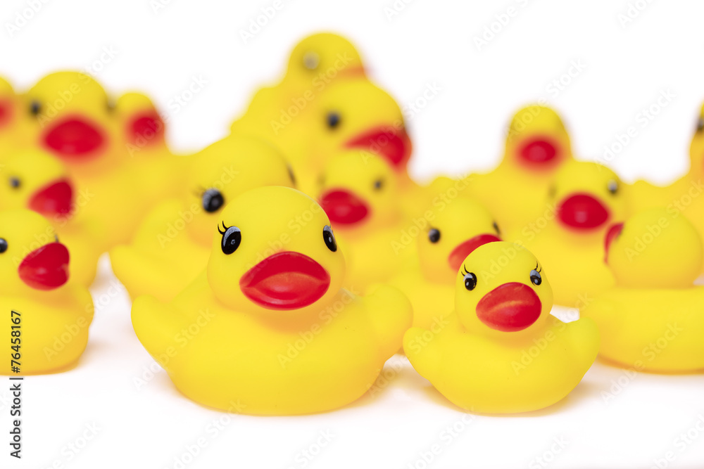 Rubber duck Rubber duck
