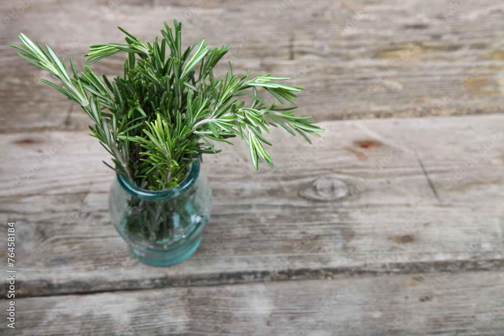 Rosemary Rosemary