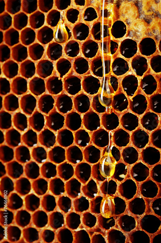 Honeycomb background