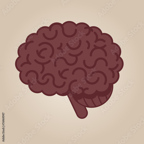 Brain illustration