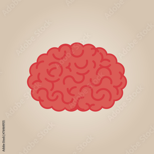 Brain illustration