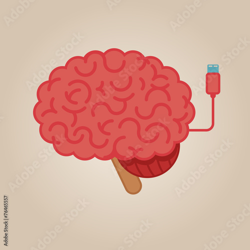 Brain concept illustration