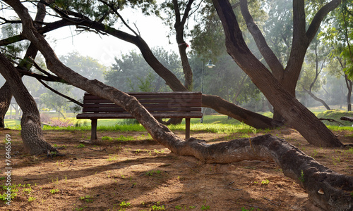 ..Park trees bent around benches © fotokolia