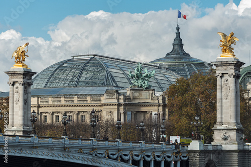 Alexander III bridge and the Grand Palace in Paris #76466308