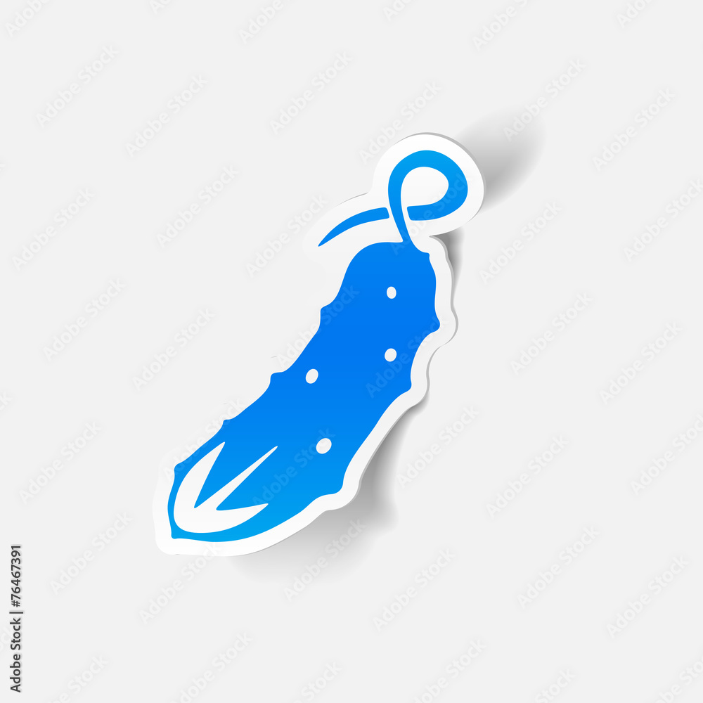 realistic design element: cucumber realistic design element: cucumber