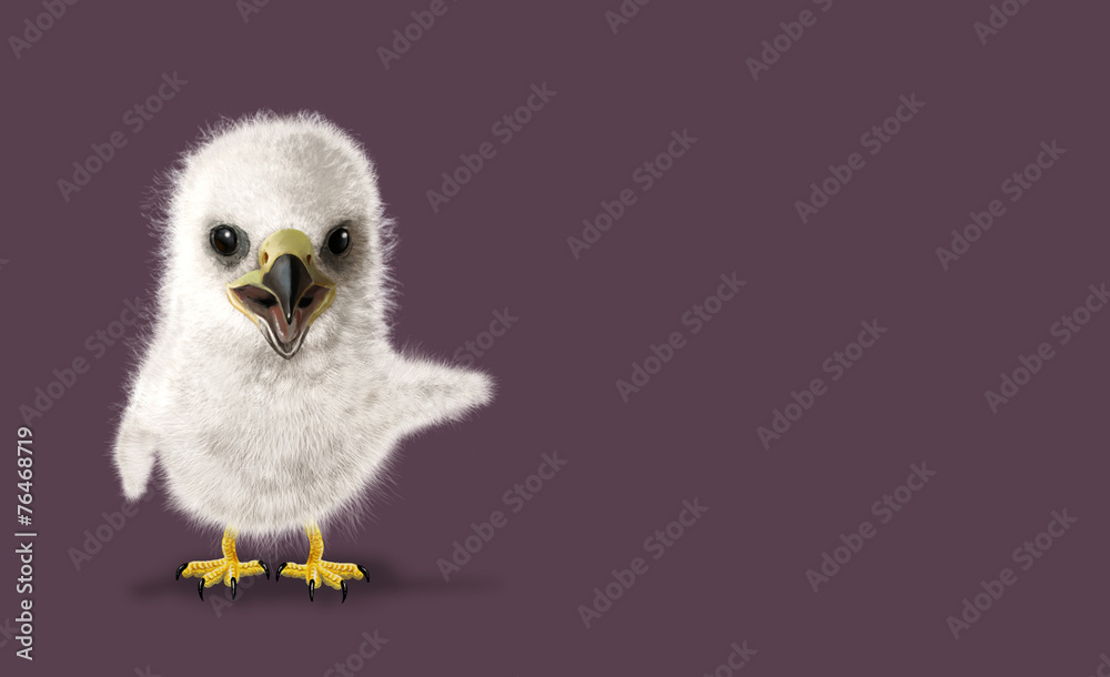 Funny Eagle chick Funny Eagle chick