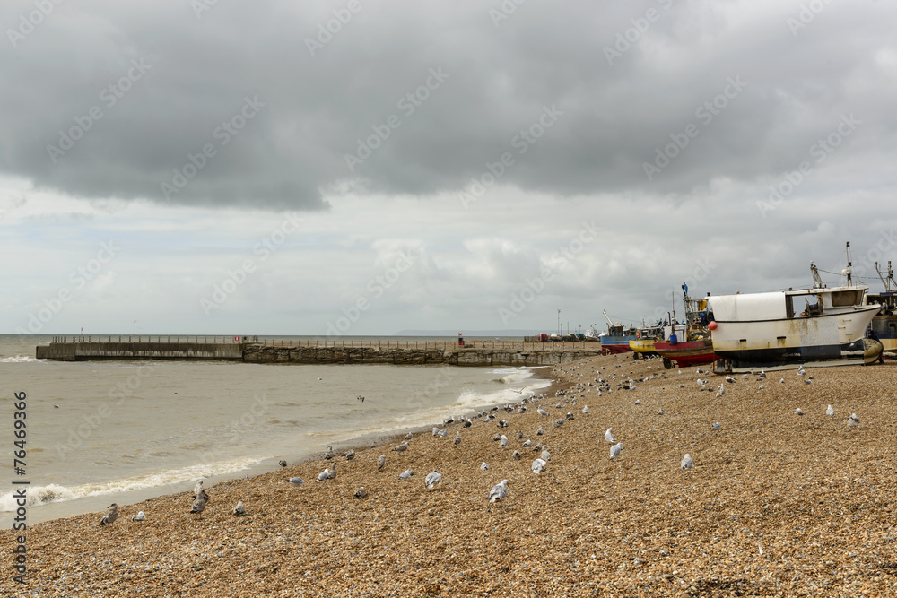 seagulls and fish boats on beach, Hastings