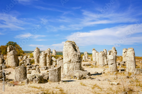 Stone Forest