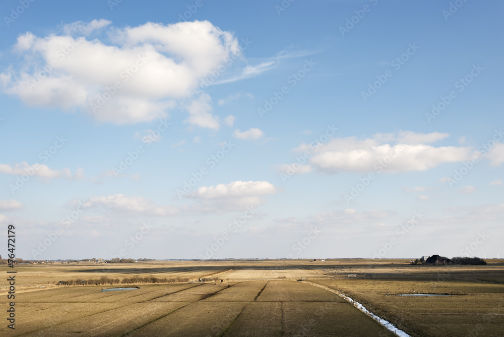 Fields and ditches in Northern Germany