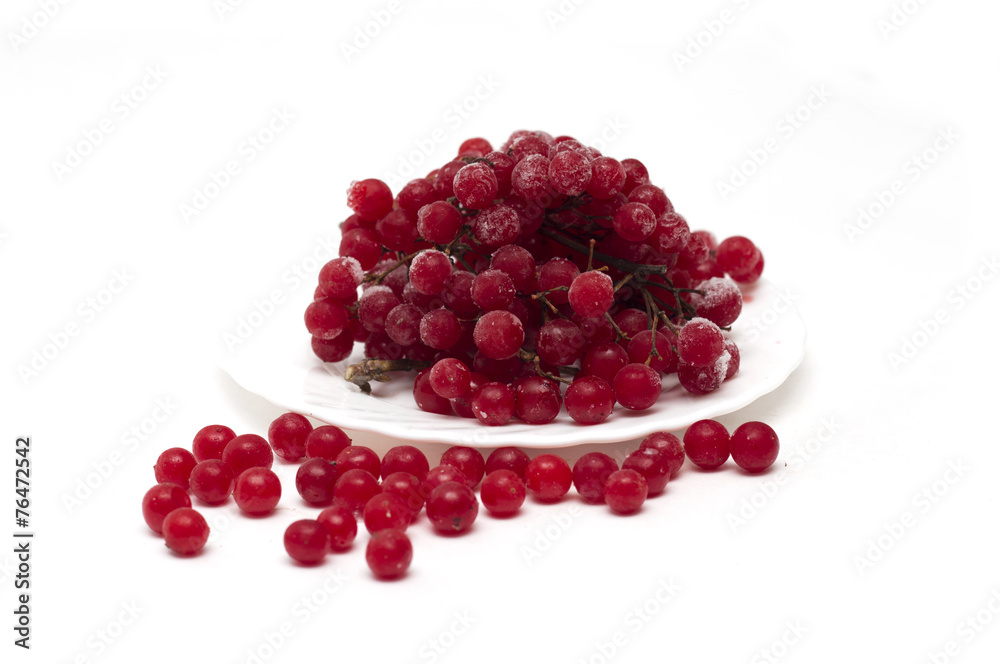 Frozen red viburnum berries on the plate. Photo.