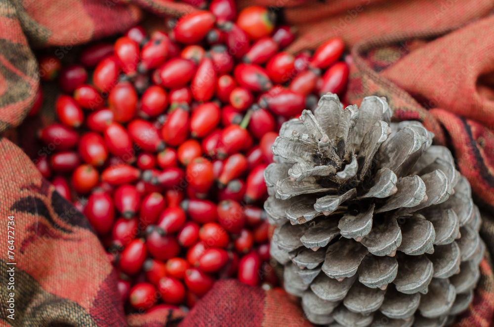 Fototapeta premium Rose-hip berries on fabric terracotta color and a pinecone