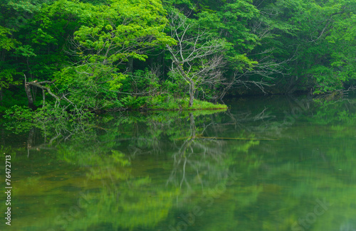 Tsutanuma Pond in Towada-Hachimantai National Park, Aomori, Japa