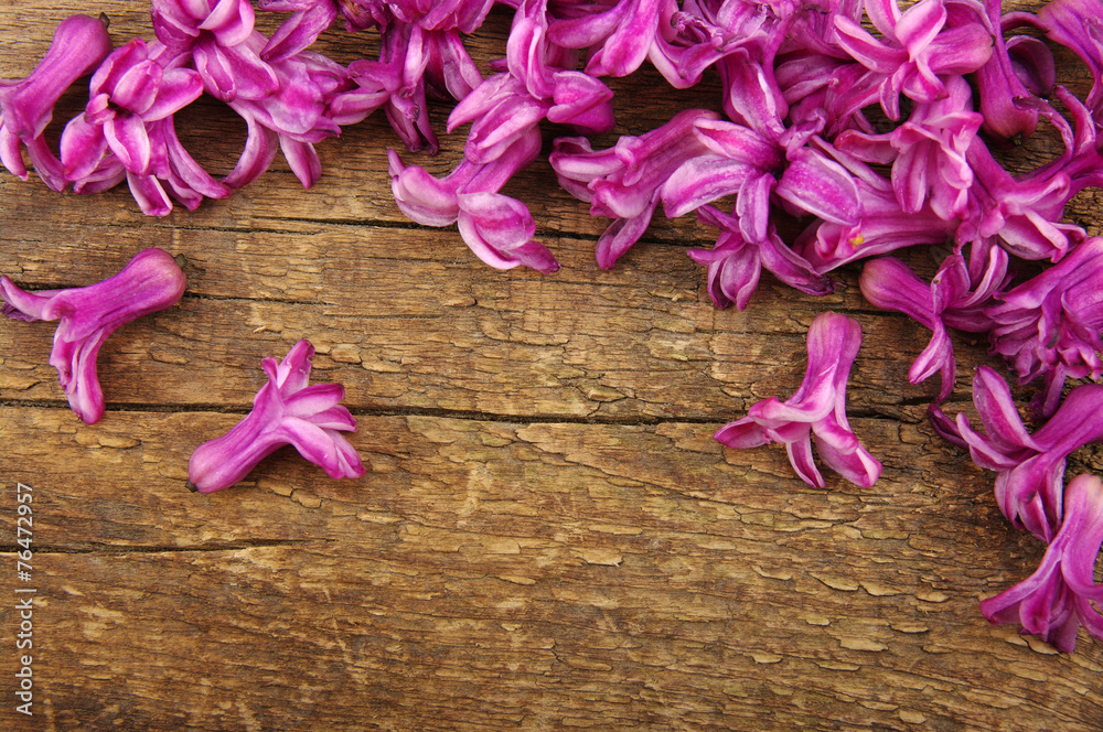 Spring flower Spring flower