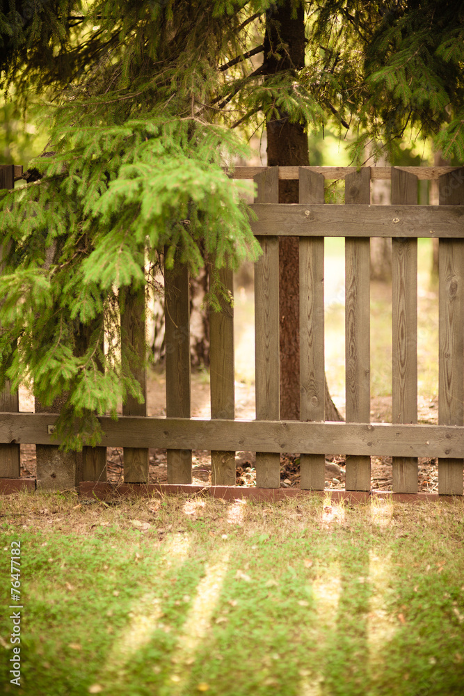 Naklejka premium Sun shining through wooden fence