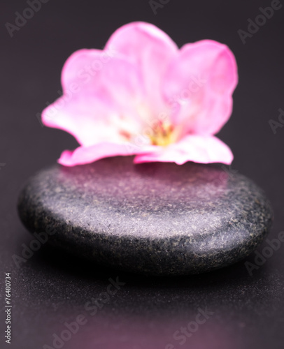 stone and petal