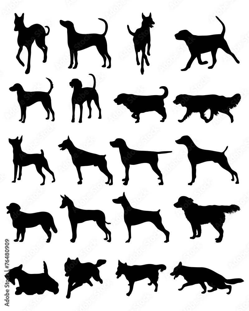 Silhouettes of different breeds of dogs, vector