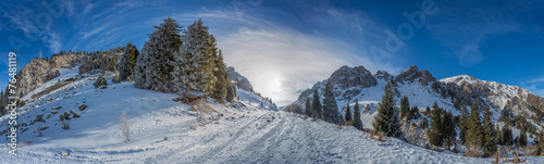 winter mountain landscape