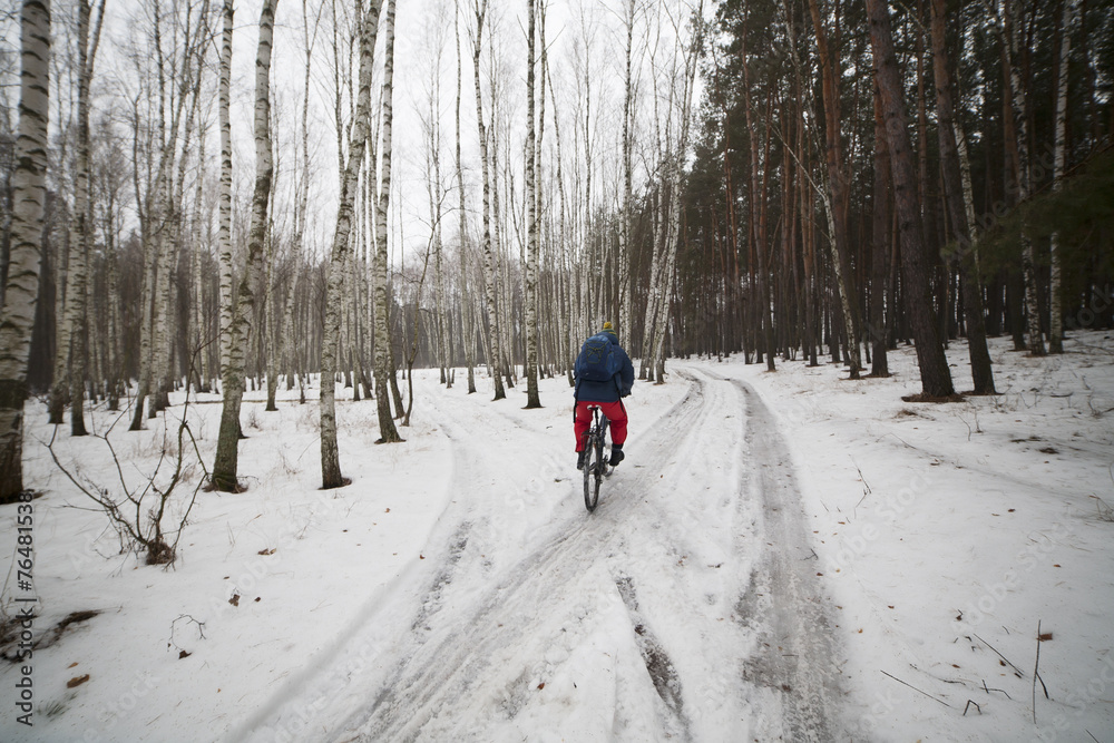 View of a cyclist in winter forest