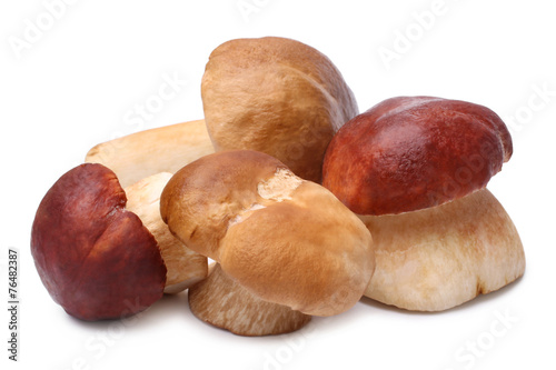 Cep mushrooms (Boletus edulis)