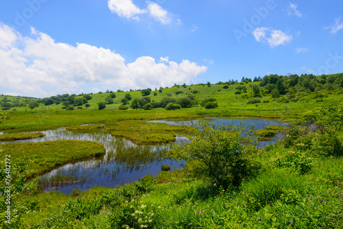 Yashimagahara marsh at Kirigamine Highland in Nagano, Japan photo