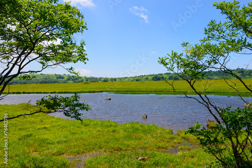 Yashimagahara marsh at Kirigamine Highland in Nagano, Japan photo