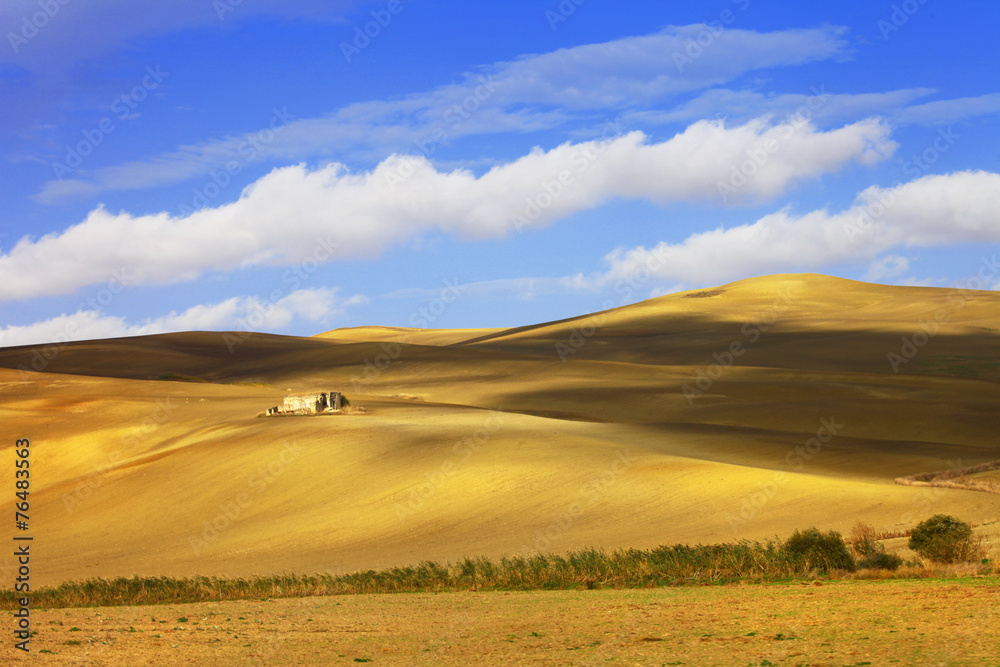 Obraz premium pictorial landscapes of Tuscany. golden hills .