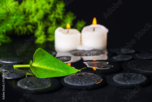 spa concept of green leaf Calla lily, foliage and candles on zen