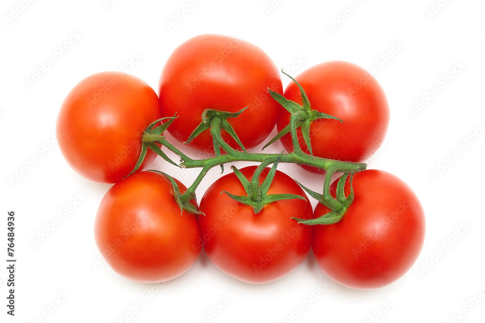 bunch of ripe red tomatoes closeup on a white background bunch of ripe red tomatoes closeup on a white background