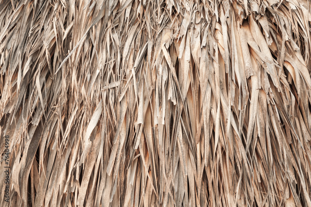 Roof made of palm leaves, background texture Roof made of palm leaves, background texture