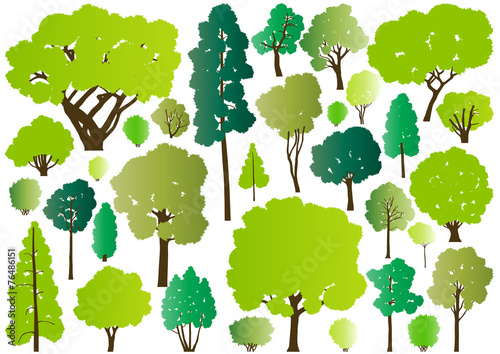 Forest trees silhouettes illustration collection background vect