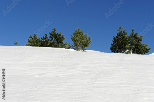 paysage neige et ciel bleu