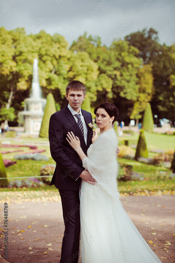 Naklejka premium Bride and groom against fountain