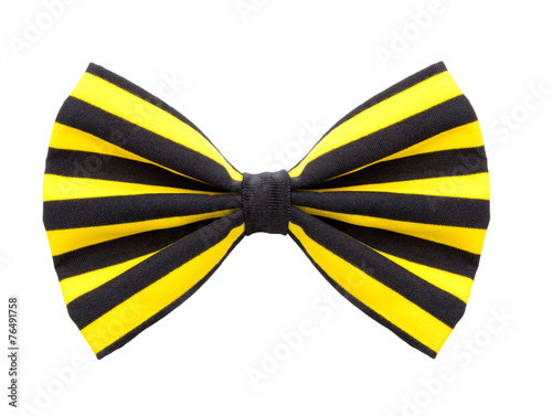 Gelbe Clownfliege