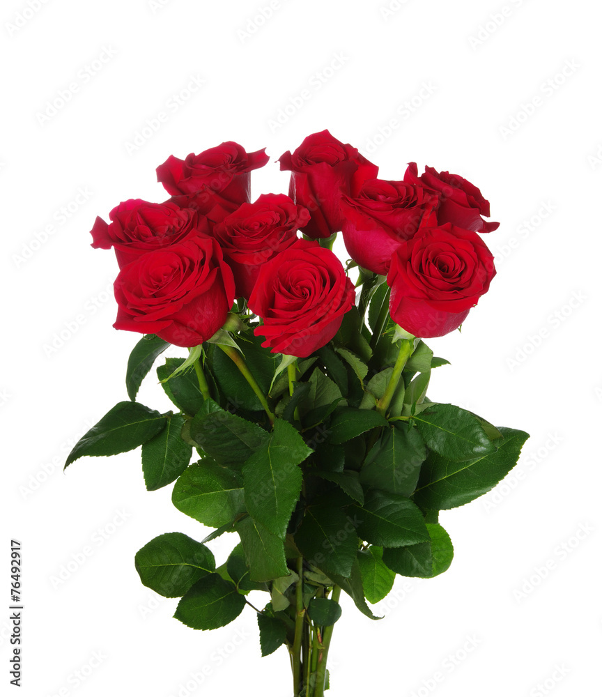 Obraz premium Red roses bouquet