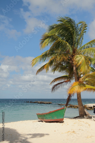 Beach in tropics. Isla Saona, La Romana, Dominican Republic