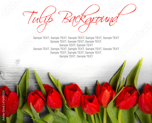 Fototapeta Naklejka Na Ścianę i Meble -  Tulip blooms