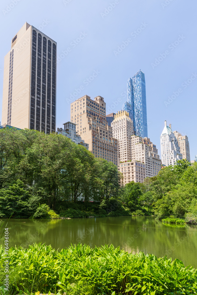 Central Park The Pond Manhattan New York