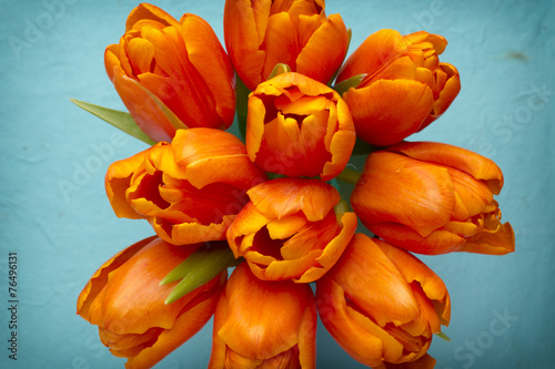 Fototapeta Naklejka Na Ścianę i Meble -  Tulip.