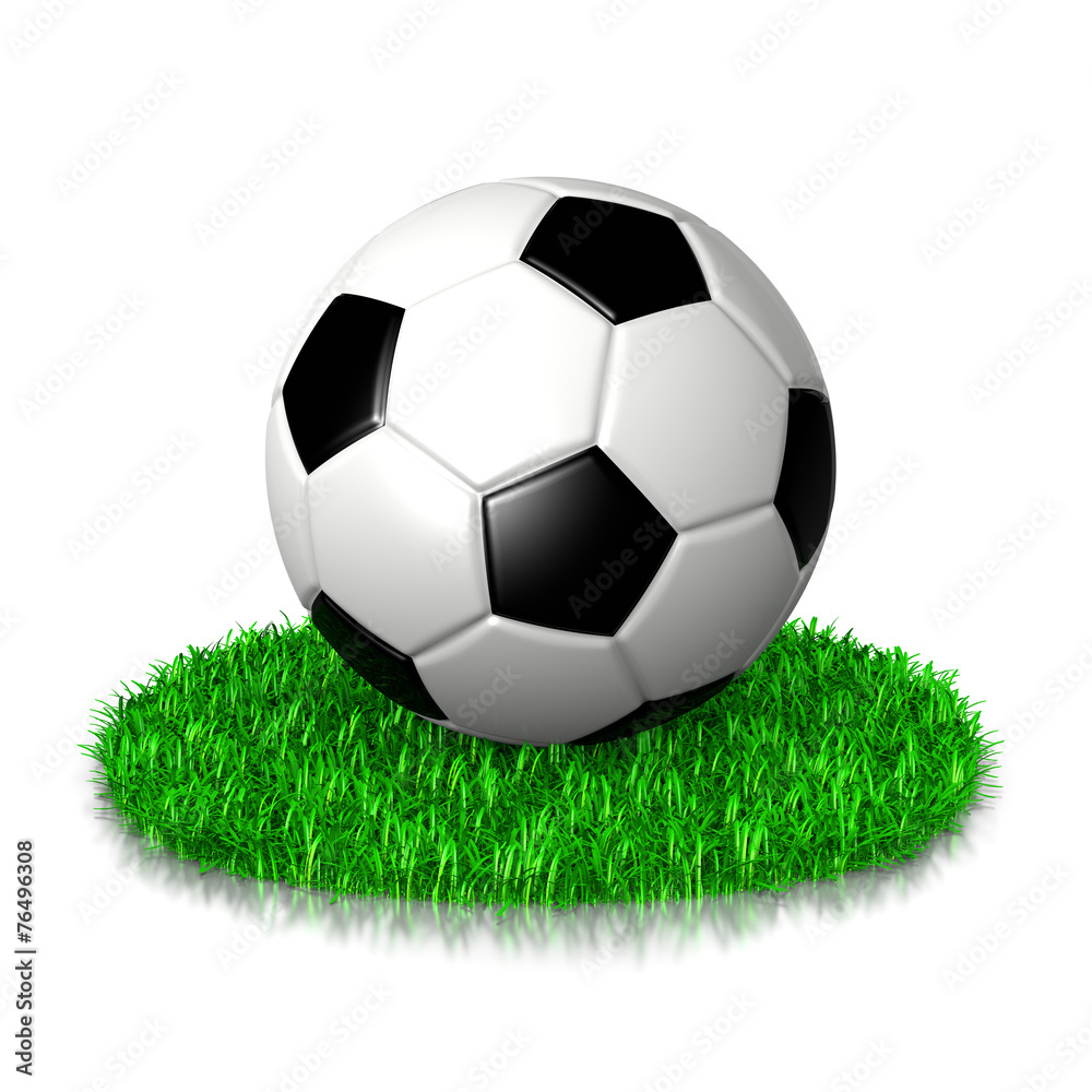Fototapeta premium Soccer Ball on Grass