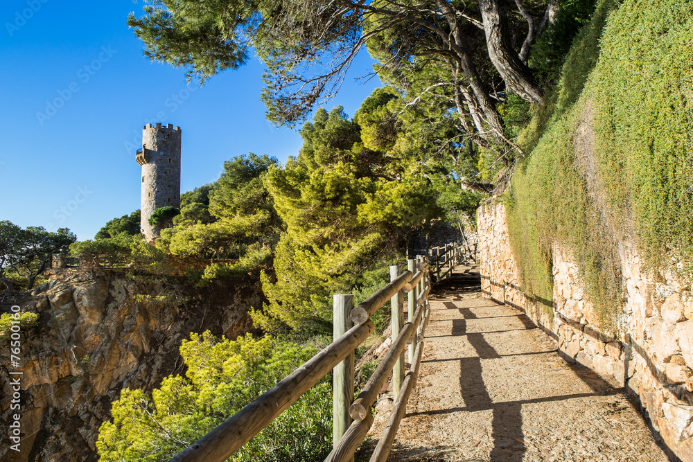 Cami de ronda