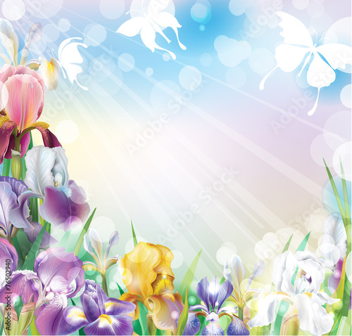 Fototapeta Naklejka Na Ścianę i Meble -  Background with flowers