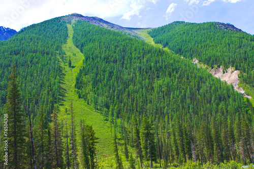 mountains forest photo