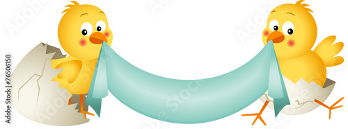 Chicks with label border