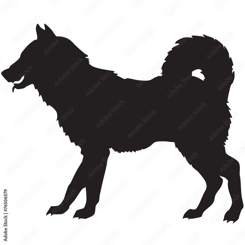 silhouette of a dog silhouette of a dog