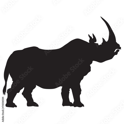 silhouette of a rhino