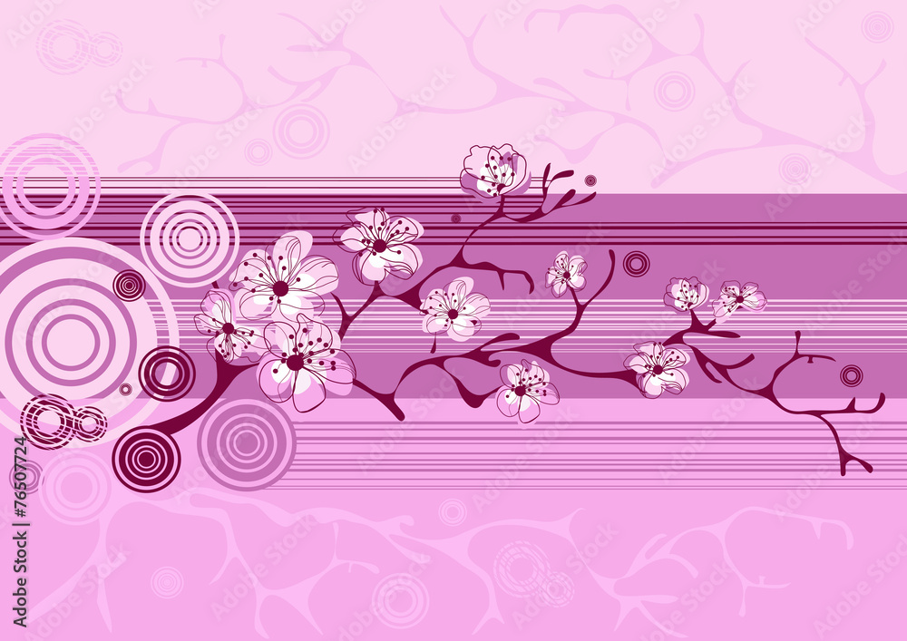 spring sakura blossom vector background