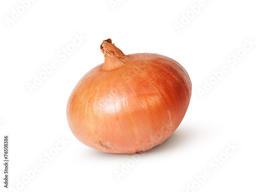 Single Fresh Golden Onion